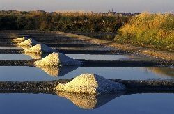 Visite des marais salants et la ville de Guérande avec les classes de 6ème et 5ème…..