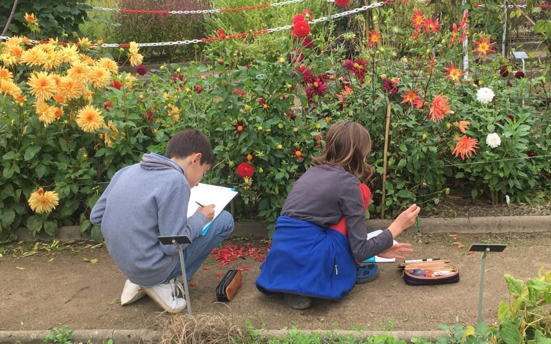 Sortie Dessin et botanique au jardin du grand Blottereau avec les 6èmes