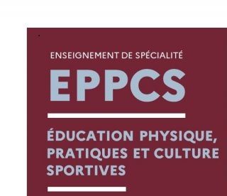NOUVEAU : La spécialité sport (EPPCS) fait sa rentrée à Bretagne !