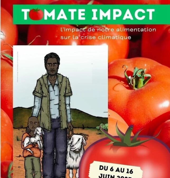 Sortie « Tomate Impact »